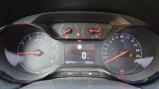 Opel Grandland Opel Grandland X 1.2 Turbo 120 Jaar Edition picture 11