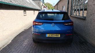 Opel Grandland Opel Grandland X 1.2 Turbo 120 Jaar Edition picture 5