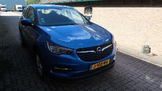 Opel Grandland Opel Grandland X 1.2 Turbo 120 Jaar Edition picture 3