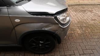 Suzuki Ignis Suzuki Ignis 1.2 Stijl Smart Hybrid picture 30