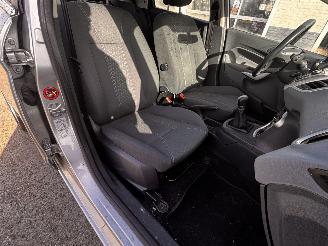 Ford Fiesta  picture 8