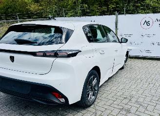 Peugeot 308 Active picture 8