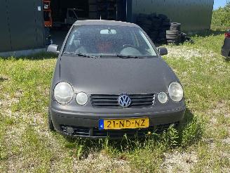 Volkswagen Polo 1.4-16V FSI Comfortline picture 3