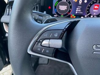 Skoda Superb Combi 1.5 TSI iV L&K *HEAD-UP - PANO-AHK* picture 32