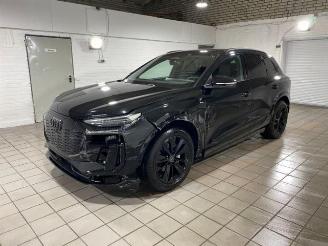 Audi Q6 e-tron quattro S line HUD/PANO/360/B&O/NAVI picture 7