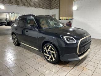 Mini Countryman E HUD/PANO/360/AHK/H&K/NAVI picture 9