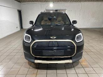 Mini Countryman E HUD/PANO/360/AHK/H&K/NAVI picture 11