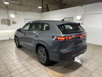 Voiture accidenté Volkswagen Tayron 2.0 TDI DSG 4Motion Life 7-Sitz AHK/360 2025/9