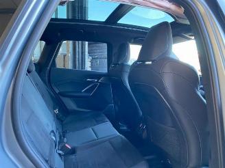 BMW X1 xDrive30e M Sport Pro PANO/HUD/AHK/H&K/NAVI picture 15