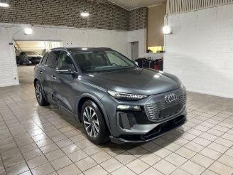 Audi Q6 e-tron Performance S line AHK/KAM/NAVI picture 7