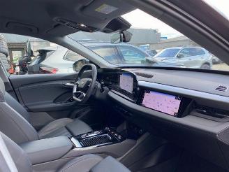 Audi Q6 e-tron Performance S line AHK/KAM/NAVI picture 21