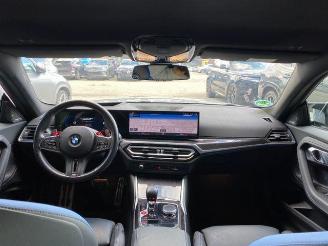 BMW M2 HUD/H&K/KAM/NAVI picture 16