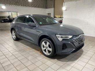 Coche accidentado Audi Q8 e-tron 55 quattro advanced HUD/AHK/KAM/NAVI 2024/6