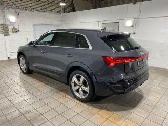 Audi Q8 e-tron 55 quattro advanced HUD/AHK/KAM/NAVI picture 6