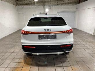 Audi Q5 Sportback e-Hybrid 220kW S line 360/NAVI picture 11