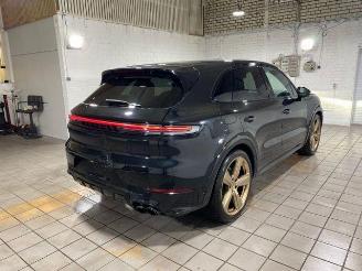 Porsche Cayenne E-Hybrid Beifahrerdisplay/Pano/Sportsitz picture 10