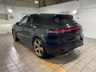 Porsche Cayenne E-Hybrid Beifahrerdisplay/Pano/Sportsitz picture 6