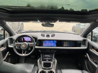 Porsche Cayenne E-Hybrid Beifahrerdisplay/Pano/Sportsitz picture 17