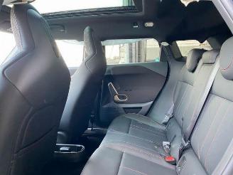 Mini Aceman SE JCW Trim KAM/HUD/PANO/H&K picture 20