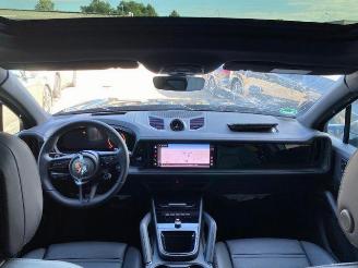 Porsche Cayenne E-Hybrid Black Edition PANO/CHRONO/BOSE picture 19