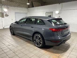 Audi A6 avant A6 e-tron Avant Performance Leder/AHK/360/NAVI picture 1