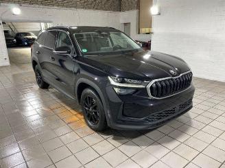 Skoda Kodiaq iV 1.5 TSI e-Hybrid Selection picture 9