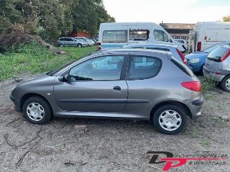 Peugeot 206 206 (2A/C/H/J/S), Hatchback, 1998 / 2012 1.1 XN,XR picture 8