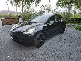 skadebil auto Tesla Model Y Model Y Long Range RWD Panorama Autopilot VOL!! 2025/2