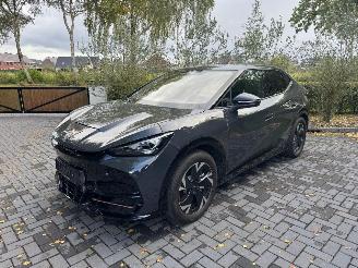 Cupra  Tavascan 210 kW Endurance Camera Ambiance LED picture 36