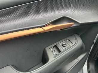 Cupra  Tavascan 210 kW Endurance Camera Ambiance LED picture 6