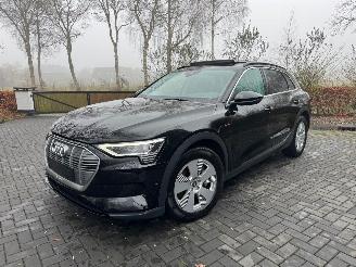 Avarii autoturisme Audi E-tron Audi E-tron 55 Quattro S-Line Panorama Leder Trekhaak VOL 2021/9