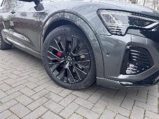 Audi Q8 Audi Q8 e-tron 55 Quattro S-line PANORAMA AHK Camera picture 18
