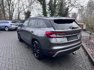 Skoda Kodiaq Skoda Kodiaq 1.5 TSI mHEV 110 kW 7 Persoons Selection Trekhaak Camera VOL picture 16