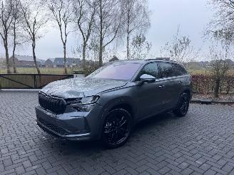 škoda osobní automobily Skoda Kodiaq Skoda Kodiaq 1.5 TSI mHEV 110 kW 7 Persoons Selection Trekhaak Camera VOL 2025/7