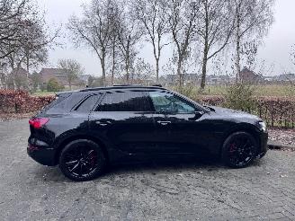 Audi E-tron Audi Q8 e-tron 55 Quattro S line PANO Camera Virtual Mirrors VOL!! picture 15