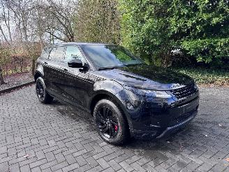 Land Rover Range Rover Evoque Land Rover Range Rover Evoque S Leder Camera AHK 2024 VOL picture 17