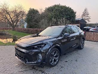 Cupra Formentor Formentor 1.5 TSI e-Hybrid 150 kW Camera Ambiance VOL! picture 21