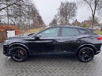 Cupra Formentor Cupra Formentor VZ 1.5 TSI e-Hybrid 200 kW Trekhaak 360camera picture 19