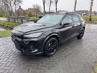 Cupra Formentor Cupra Formentor VZ 1.5 TSI e-Hybrid 200 kW Trekhaak 360camera picture 17