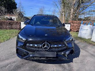 Mercedes GLA GLA 250 e AMG Panorama HUD 360view Carbon AmbianGLA 250 e AMG Panorama HUD 360view Carbon Ambiance VOL!! picture 30