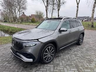 Mercedes EQB EQB 250+ AMG Panorama Burmester HUD Trekhaak 360view VOL picture 13