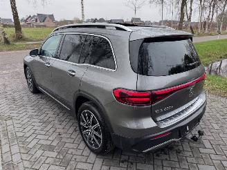 Mercedes EQB EQB 250+ AMG Panorama Burmester HUD Trekhaak 360view VOL picture 32