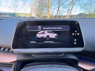 Cupra Tavascan Tavascan 210 kW Endurance Camera Ambiance 82kWh VOL picture 13