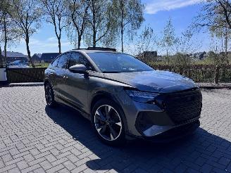 Avarii autoturisme Audi Q4 Audi Q4 e-tron Sportback 40 PANO Leer Camera AHK VSONOS VOL! 2024/7