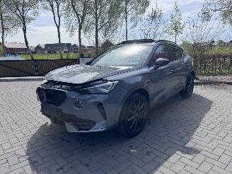 Cupra Formentor Formentor 1.5TSI Panorama Camera Leder Ambiance picture 22