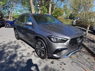 Mercedes GLA GLA 250 GLA GLA 250 e ACC Camera Ambiance VOL picture 13