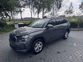 Skoda Kodiaq Skoda Kodiaq 1.5 TSI mHEV 150ps Selection Ambiance Trekhaak Leer VOL picture 1