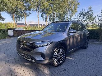 Mercedes EQB EQB 250+ PANORAMA Ambiance AMG Trekhaak Camera VOL picture 25