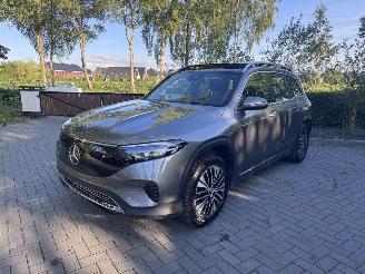 Mercedes EQB EQB 250+ PANORAMA Ambiance AMG Trekhaak Camera VOL picture 28