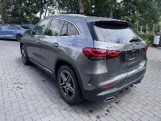 Mercedes GLA GLA 250 e AMG Panorama Ambiance Camera ACC VOL picture 17